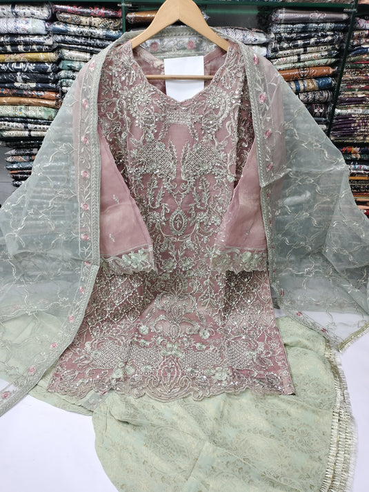 Organza Fancy Emb Gharara