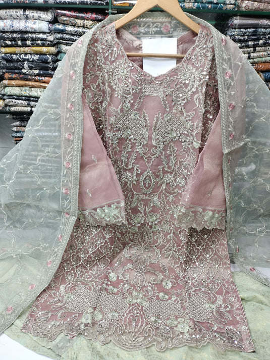 Organza Fancy Emb Gharara