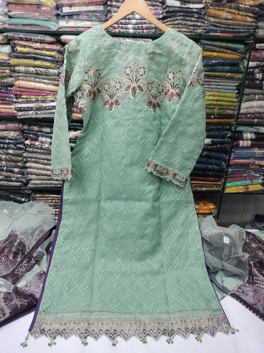 Minhal By Ramsha Organza 3pc